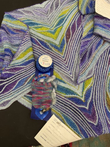 Handknit Papillion Shawl 2023 Fiber Exhibit