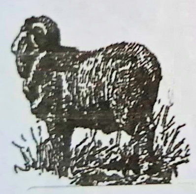 Serendipity Farms Studio