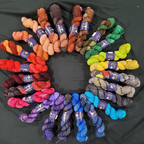 Dizzy Blonde Studios