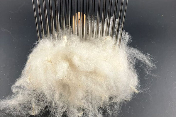 Fiber Prep Basics